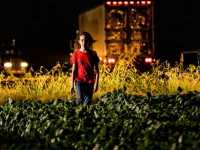 ��������� ����