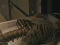 ������� ������