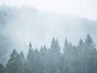 ������: ���������