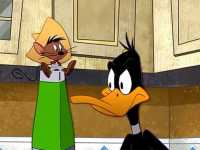 ���� ���� ���