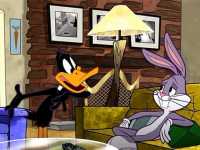 ���� ���� ���