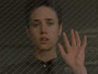 ���� ������