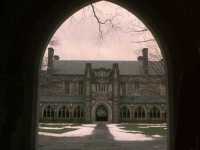 ���� ������