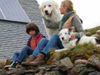 ����� � ���������: ����� ���������