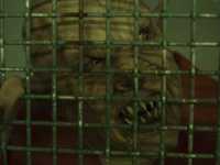 ������ ������������