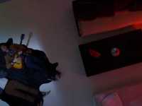 ��������� ����