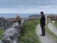 ����� ���������