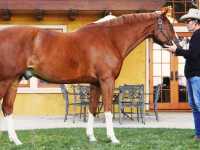 9 ������