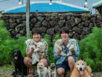 ��� �� ����