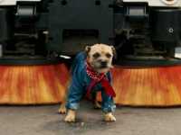 ������ �� ���, �����