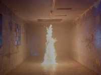 ���� ����