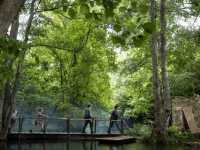 �������� ������ �˻