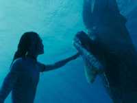 ������: ���� ����