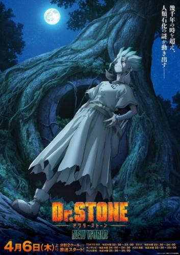 ������ ����� / Dr. Stone (2019)