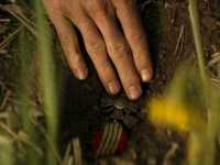 ���� �����