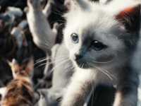 ������� ������ 2