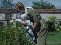 ���� ���������