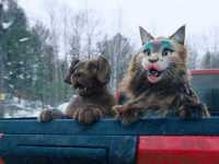 ��� � ��