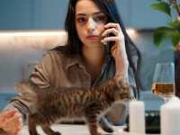 �������