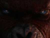 �������� � ����: ����� �������