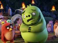 Angry Birds � ����