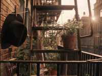 ������� ����� � ������ ������