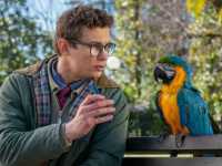 ����������� ������� ����