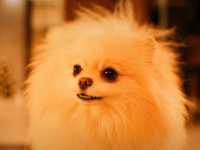 �� ������� ����