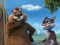 ��� ������