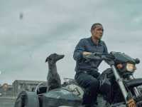 ׸���� ��