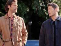 ������������������