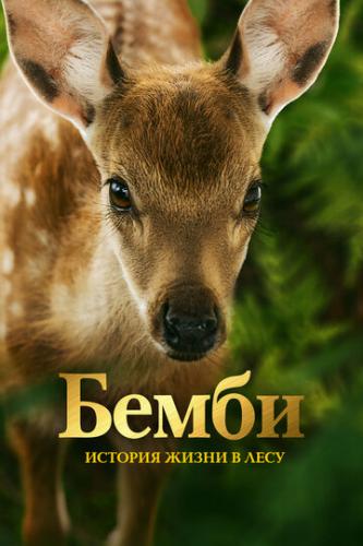 �����. ������� ����� � ���� / Bambi, l'histoire d'une vie dans les bois (2024)