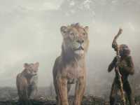 ������: ������ ���