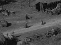 �� ���� �����