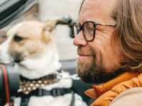 �����. ������� �����