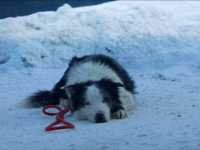 �������� �������