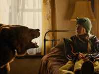 ��� ���� - �������