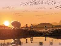 �������