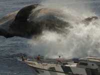 ��� ������� �������: �����������