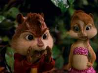 ����� � ��������� 3