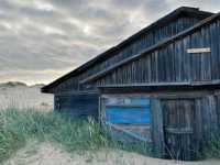 ������ ��������